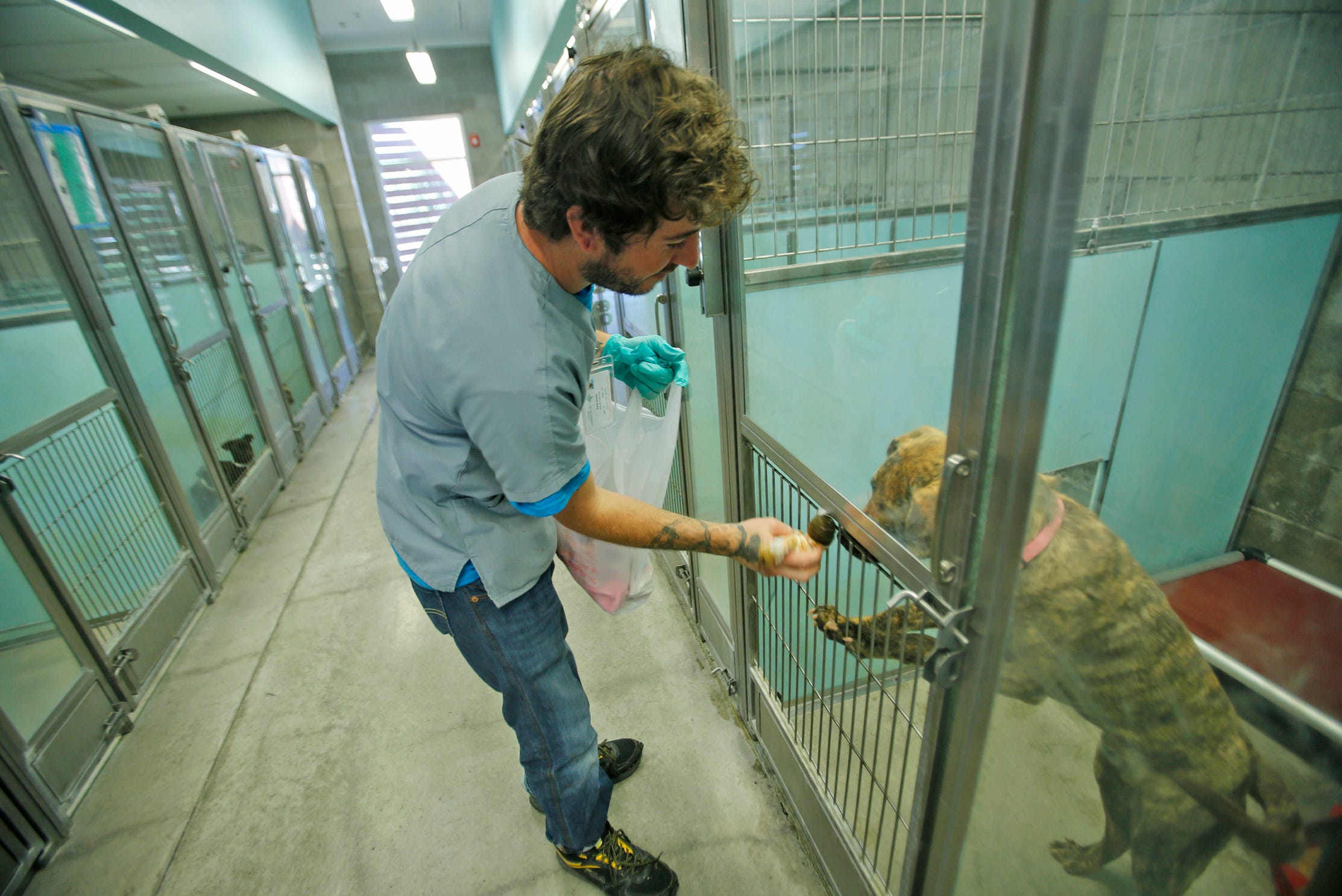 can you carry parvo on your clothes